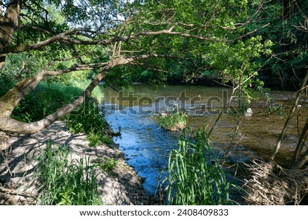 The Eder - A river in Germany in a green landscape