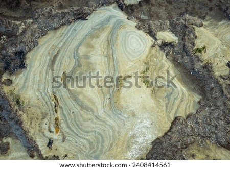 sedimentary layers of rock on the wave-cut platform erode at a slightly uneven rate, resulting in an abstract patterns showing the fine layers of Jurassic sediment worn down by wave action. Royalty-Free Stock Photo #2408414561