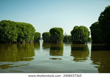 Mangrove river image, Kannur Kavvayi Island landscape Royalty-Free Stock Photo #2408437365