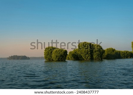 Kannur Kavvayi mangrove Island view Royalty-Free Stock Photo #2408437777