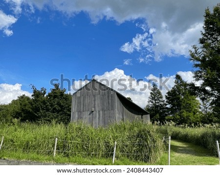 a small cabin in the woods. a clear sky and a small house