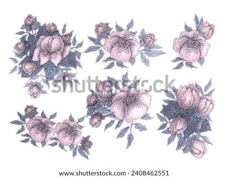 Set of six compositions of pink flowers. Hand-drawn watercolor illustrations in mixed media	