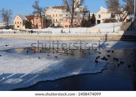 View of the frozen river with floating birds in Minsk. The capital of Belarus. The center is the Nemiga historical district. Royalty-Free Stock Photo #2408474099