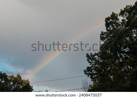 Rainbow pictured in front of a cloudy sky. 2 trees visible in the foreground. Power lines run along the bottom of the frame. Subtle warm tones.