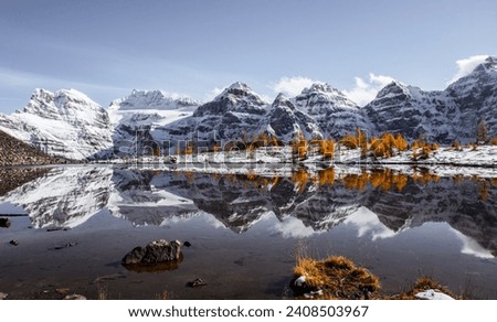 The Reflection in Minestima Lake, Larch Season in The Larch Valley, Fell in the Valley of Ten Peaks, Banff National Park, Canada Royalty-Free Stock Photo #2408503967