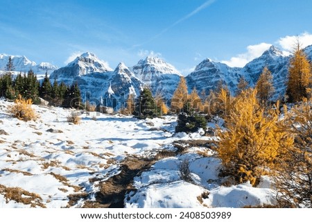 The Reflection in Minestima Lake, Larch Season in The Larch Valley, Fell in the Valley of Ten Peaks, Banff National Park, Canada Royalty-Free Stock Photo #2408503989