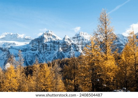 The Larch Season in The Larch Valley, Fall in the Valley of Ten Peaks, Banff National Park, Canada Royalty-Free Stock Photo #2408504487