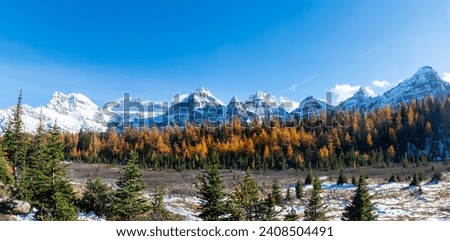 The Larch Season in The Larch Valley, Fall in the Valley of Ten Peaks, Banff National Park, Canada Royalty-Free Stock Photo #2408504491