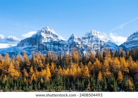 The Larch Season in The Larch Valley, Fall in the Valley of Ten Peaks, Banff National Park, Canada Royalty-Free Stock Photo #2408504493