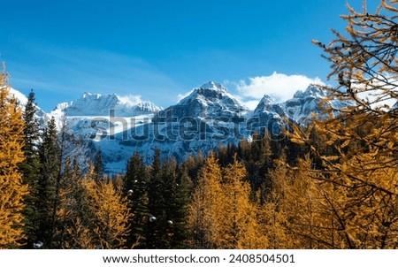 The Larch Season in The Larch Valley, Fall in the Valley of Ten Peaks, Banff National Park, Canada Royalty-Free Stock Photo #2408504501