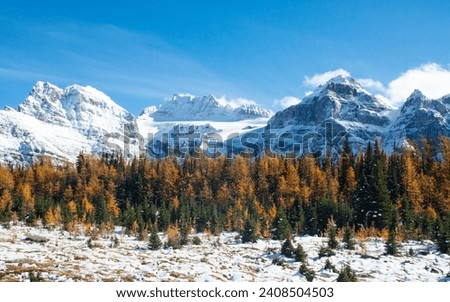 The Larch Season in The Larch Valley, Fall in the Valley of Ten Peaks, Banff National Park, Canada Royalty-Free Stock Photo #2408504503