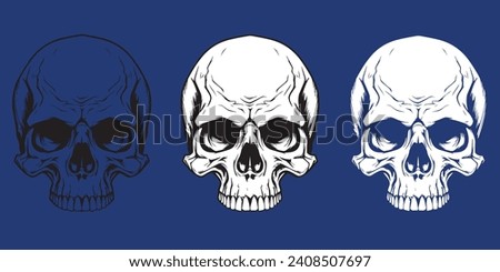 Skull without lower jaw. Three application options, for dark and light surfaces. Royalty-Free Stock Photo #2408507697