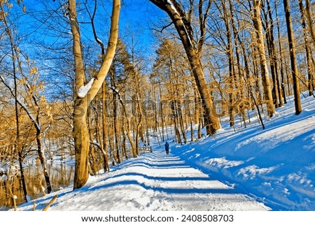 Woodland Path in Winter Snow, Philadelphia, Pennsylvania