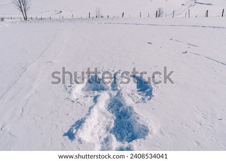 Snow angel on a sunny snowy plain