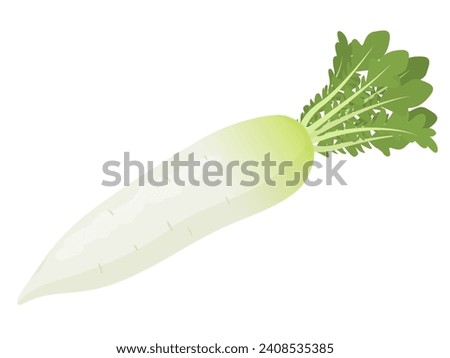 Vector illustration of fresh radish Royalty-Free Stock Photo #2408535385