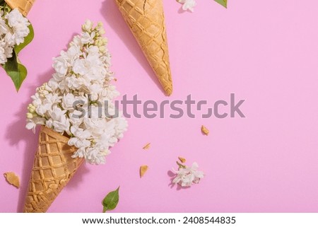 White lilac flowers in waffle ice cream cones on pink background. Flat lay, hard light, dark shadow, traditional spring concept, top view