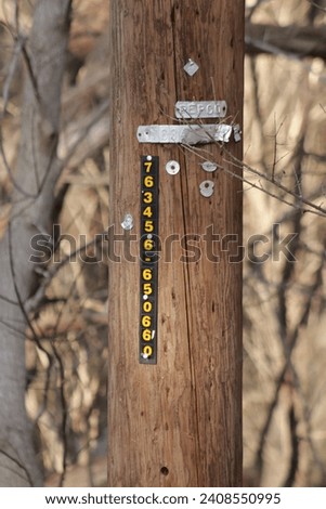 Wooden electrical or telephone pole with metal tags and number markings