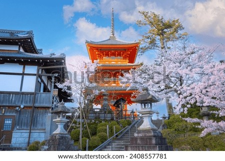 Kiyomizu-dera templein Kyoto, Japan with beauiful full bloom sakura cherry blossom in spring Royalty-Free Stock Photo #2408557781