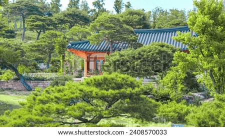 photo of pine tree park with pool in daegu
