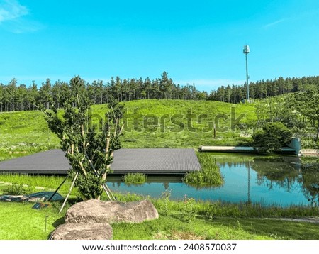 photo of pine tree park with pool in daegu
