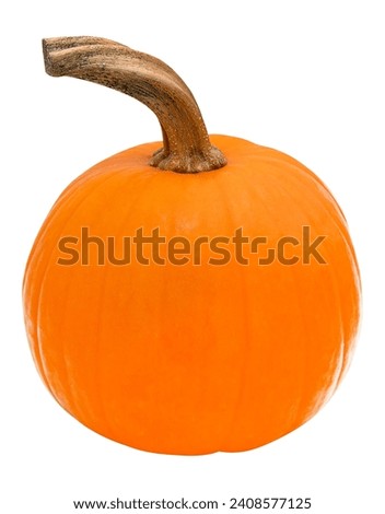 Beautiful fresh orange decorative pumpkin without background for your design or holiday creation