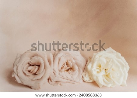 Pastel Background With Roses Space For Copy