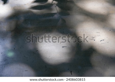 abstract leaf shadow on the floor cement background