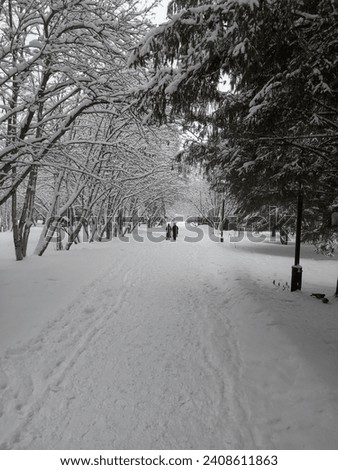 Deciduous and evergreen trees in a winter park in Siberia. A couple of people walking. Royalty-Free Stock Photo #2408611863