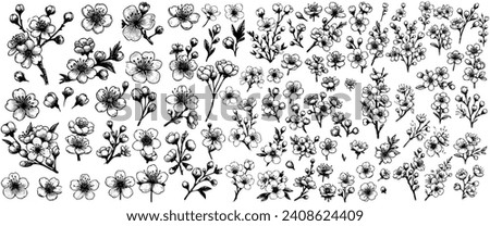 Blooming cherry vector, sketch elements. Sakura vintage flower blossom collection.