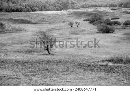 Infrared landscape with a large field and a single tree