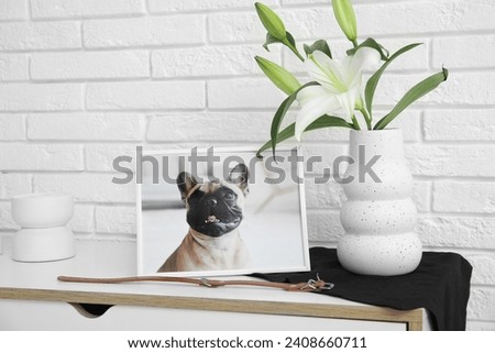 Frame with picture of dog, collar and lily flowers on cabinet near light brick wall. Pet funeral
