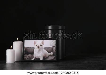 Frame with picture of dog, mortuary urn and burning candles on dark background. Pet funeral