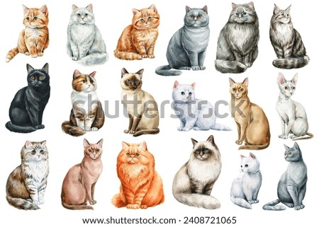 Cat watercolor, adorable pet isolated background. Collection Cats of different breeds. Cute kitten Watercolour painting 