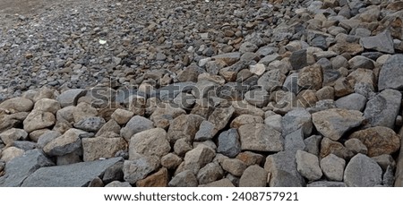 This is a picture of coral rocks in the front yard of the house