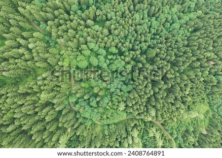 A stunning drone shot from above captures the dense and vibrant green canopy of an Austrian forest, a testament to nature's unspoiled and wild beauty. Royalty-Free Stock Photo #2408764891