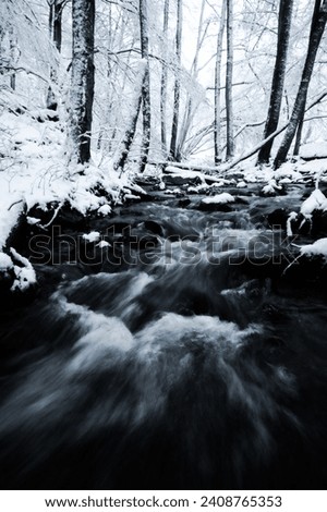 Snowhite forest with flowing river. This picture is taken in Male Karpaty Slovakia with fujifilm camera using long exposure techics.