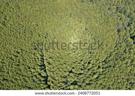 A lush sea of green treetops captured from a drone's eye view, illustrating the dense and unspoiled forests of Nara, Japan. Royalty-Free Stock Photo #2408772051