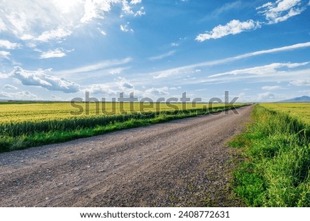 Country gravel road and green wheat fields with sky clouds natural landscape under blue sky