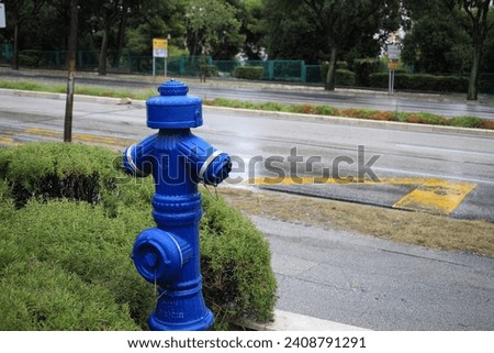 Blue metal fire hydrant on city street