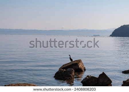 Cormorant bird on rock with panoramic view of idyllic coastline of Gulf of Piran, Adriatic Mediterranean Sea, Slovenia, Europe. Stroll along tranquil stone beach of Fiesa. Shoreline Slovenian Istria