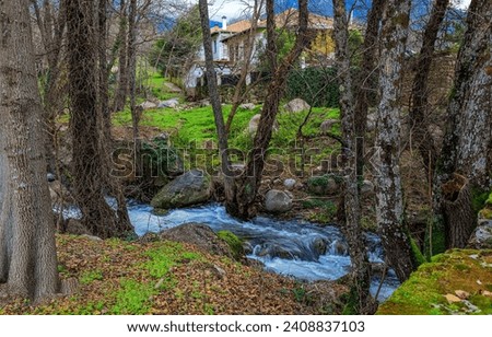 Forest stream near the estate. Forest creek flowing. Cold creek in park. Autumn cold creek flowing Royalty-Free Stock Photo #2408837103