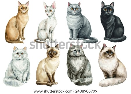 Set funny cats watercolor, adorable home pet isolated background. Cats of different breeds. Watercolour painting clipart