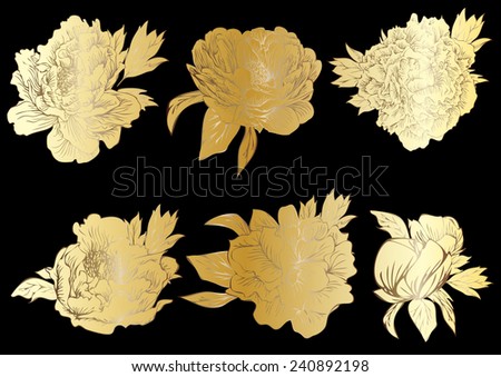 set drawing vector golden peony,vintage floral vector bouquet of peonies and garden flowers, botanical natural peonies Illustration on white. Summer floral peonies greeting card