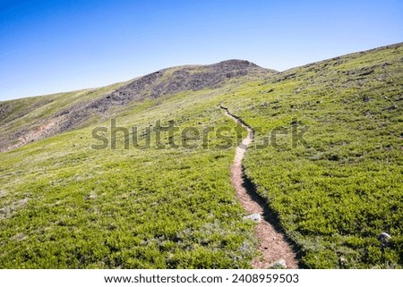 High Lonesome trail in the Indian Peaks Wilderness, Colorado Royalty-Free Stock Photo #2408959503