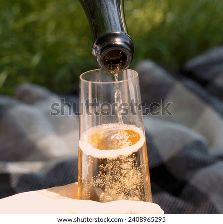 Wine. Glass of wine. Hands serving bottles of wine in transparent glasses . Toast. Celebration day. Photography. Hand pouring white wine in glass. Close up view.