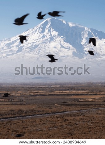 Mountain Ararat from Armenian side