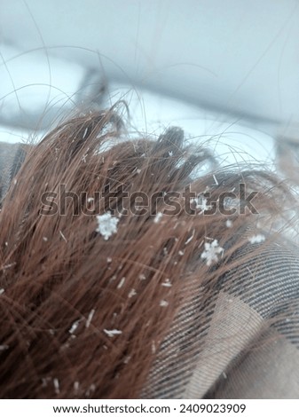 close up image of snowflakes in brown hair