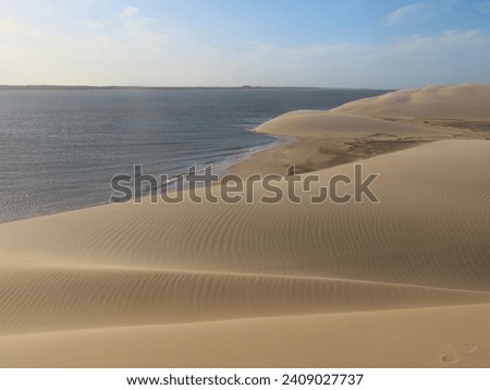 sand dunes by the sea, Parnaíba Delta in northeastern Brazil