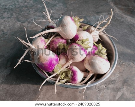 Shalgam Stock Image, turnips shaljam vegetable image, shalgam photo 