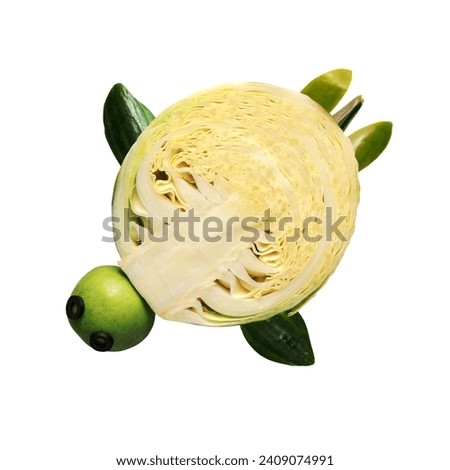 Creative concept photo of turtle made of fruits and vegetables on white background.